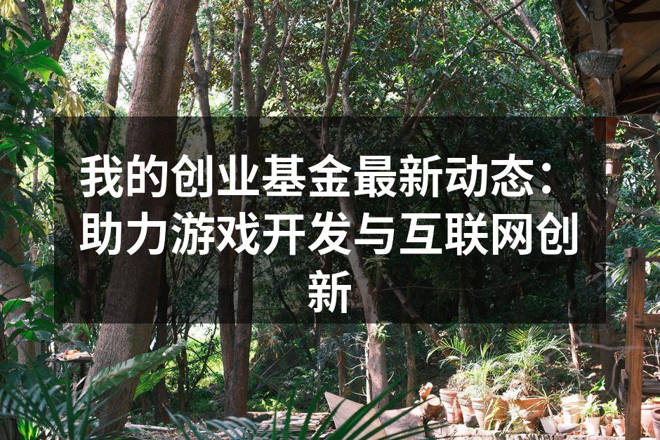 我的创业基金最新动态：助力游戏开发与互联网创新